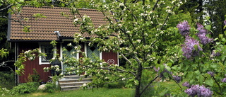 Här får du mest sommarstuga för pengarna i Sörmland