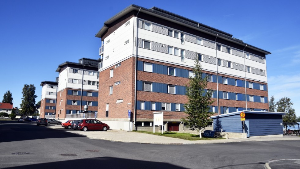 På Norra Strandgatan 15 och 17 som ligger i förtsa huset på bilden har sju av totalt 18 lägenheter drabbats av vägglös. 