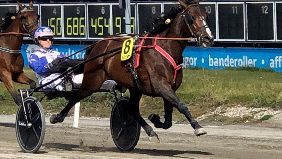 Sigvard Hyllsjö äger, tränar och har fött upp Usain Henna som vann igen. Petter Karlsson körde. 