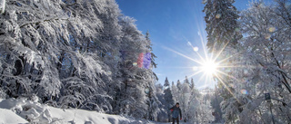 Vintervädret fortsätter – snö och sol väntar