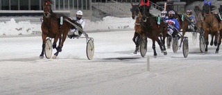 Jormas nyförvärv imponerade på Bodentravet