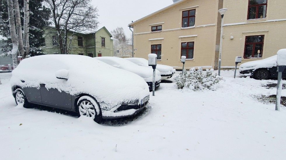 Enligt SMHI är normalvärdet för första snötäcket i Luleå den 25 oktober.
