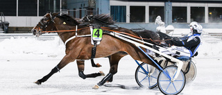 Magnus A Djuse öppnade med ett hattrick