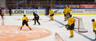 Nowick tillbaka - så tänker Skellefteå AIK om stjärnan