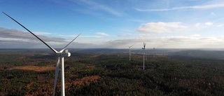 FORTSATT INTRESSE: Vattenfall lämnar in ansökan om vindkraftsstation