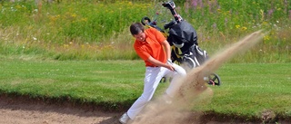 Lokala golfspelare tävlade mot världsstjärna i seriegolfen