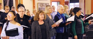 Kammarkören förnyar julkonsert