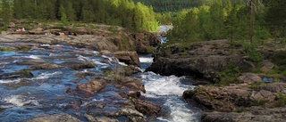 Globalt och framtid i fokus på temaveckor