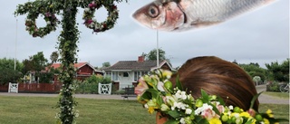 Midsommar utan sill lika otänkbar som sill i galoscher