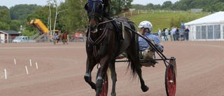 Vingåkershäst missar miljonloppet