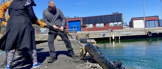 Nya larm om utsläpp i fiskehamnen – har pågått i flera år ✓Nu tar kommunen tag i säkerheten