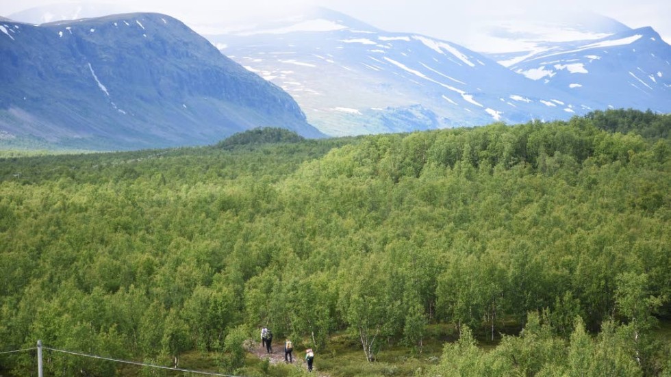 Kebnekaise fjällstation fick stängas under helgen sedan magsjuka brutit ut. (Arkivbild)
