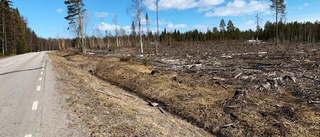 Är hyggesfritt skogsbruk svaret på alla frågor?