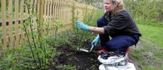 Varför ökar arbetslöshet, inte fritid?