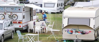 Rekordår för svensk camping: Gotland i botten