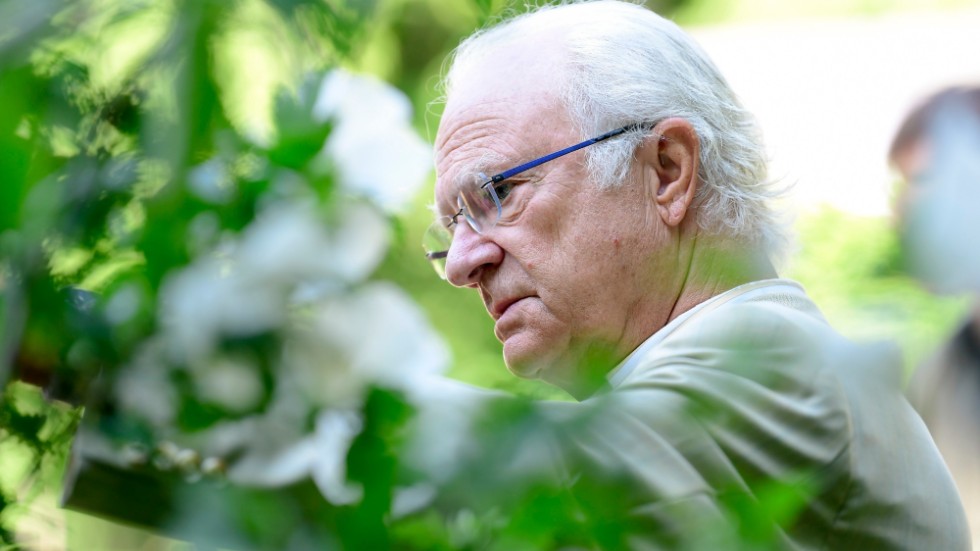 När kungen håller tal vid riksmötets öppnande talar han till de 349 ledamöter som valts av folket att styra vårt land, skriver Daniel Ådin, styrelseledamot Republikanska Föreningen.