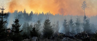 Gräsbrand inringad – ingen spridningsrisk längre