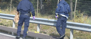 Polisinsats påverkade trafiken på E4