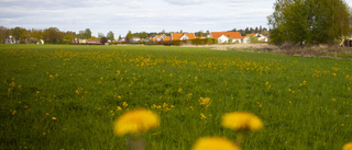 M står bakom planförslaget för Mantorp