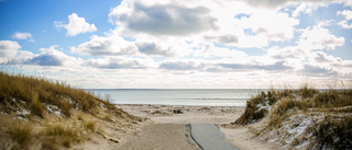 Ny strandsskyddslag kan ge dispens på Tofta och Fårö