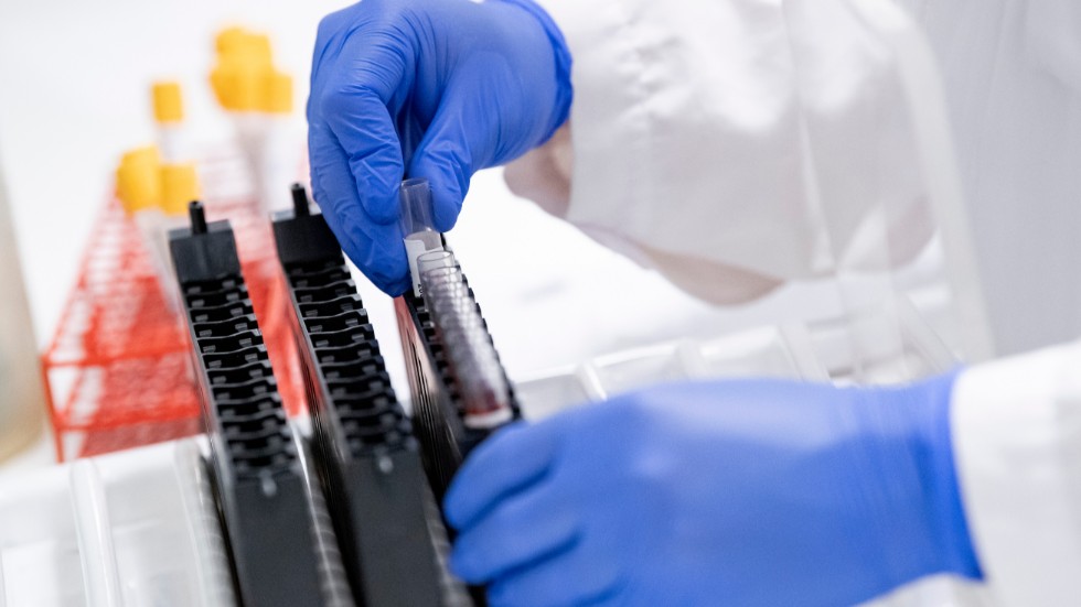 Under coronapandemin har de biomedicinska analytikerna arbetat med hundratusentals covidtester i veckan, skriver bland andra Jenny Olsson, ordförande Vårdförbundet Västerbotten.