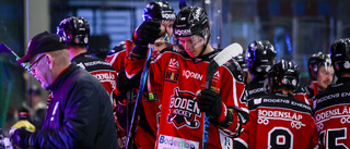 Boden Hockey värvar från SHL-klubben