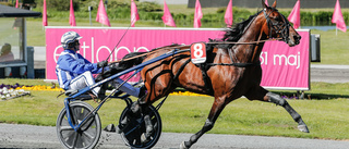 Ecurie D första hästen i Elitloppet