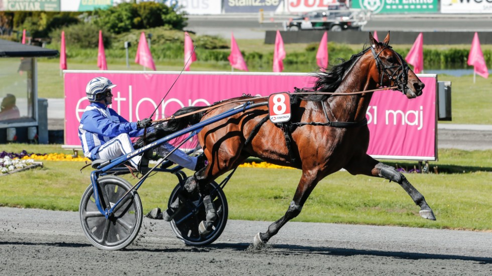 Ecurie D är som första häst klar för Elitloppet.