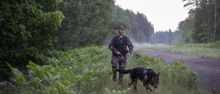 Finländsk hjälp till gränser mot Belarus