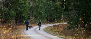 Mordutredning blir kallt fall – ”Saknar avgörande pusselbitar”