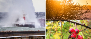 VECKANS VÄDER: En hel del sol i veckan – men även friska vindar