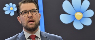 Moderaterna vill sitta i hundkoppel hos SD