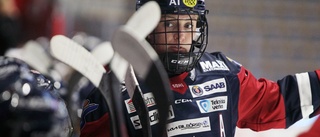 LHC-trio kan ta priset på stora SDHL-galan