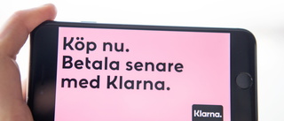 FI måste göra om bedömning av Klarna