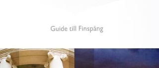 Finspångsguide kan få Svenska Publishingpriset