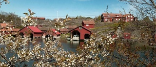 Skärgårdsting om långsiktig plan