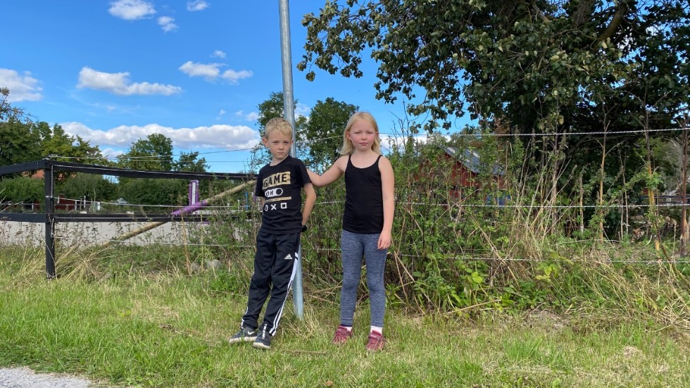 Vilhelm och Eira är två av ett tiotal barn längs Trogstavägen som drabbats av problemen med skolbussen.
