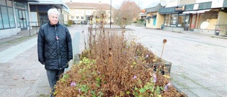 Risigt på Centralplan