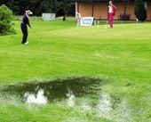 Svensk golfsommar 2003