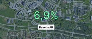 Paneda AB redovisar resultat som pekar uppåt