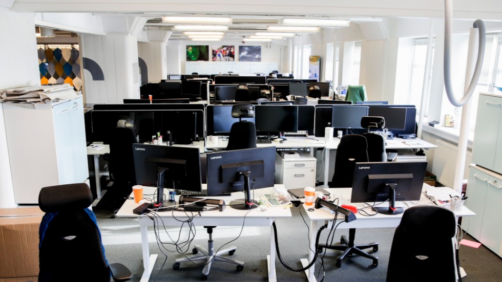 IT-branschen spås ha hög efterfrågan på arbetskraft kommande månader.