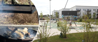 Medborgarförslaget: Grillplats i Honnörsparken • ”Trevligt att kunna tillaga något att äta”