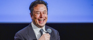 Här är alla turer sedan Musk köpte Twitter