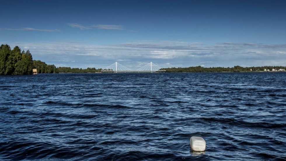 Till hösten ska Munksund 5 bärgas från Inre fjärdens botten. 
Piteåföretaget Marine Solutions MG ska göra jobbet. (Arkivbild)