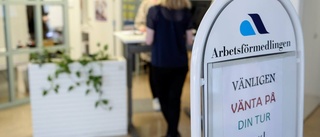 Fler unga i arbete