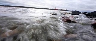 Dioxinprover i hamn öppnar för muddring