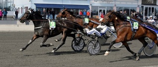 Piriac segrade på Bodentravet