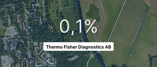 Resultatkurvan – en jobbig läsning för ägaren av Thermo Fisher