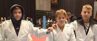 Judobröderna från Oxelösund ordnade varsin silvermedalj