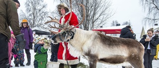 Premiär för julmarknad: "Väldigt mysigt"